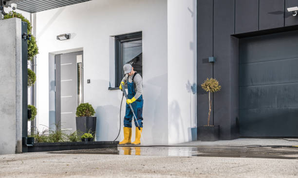 Best Roof Cleaning and Mildew Removal in Sugarland Run, VA